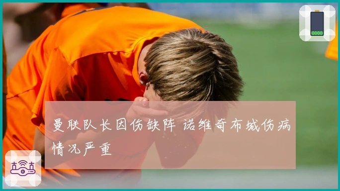曼联队长因伤缺阵 诺维奇布城伤病情况严重