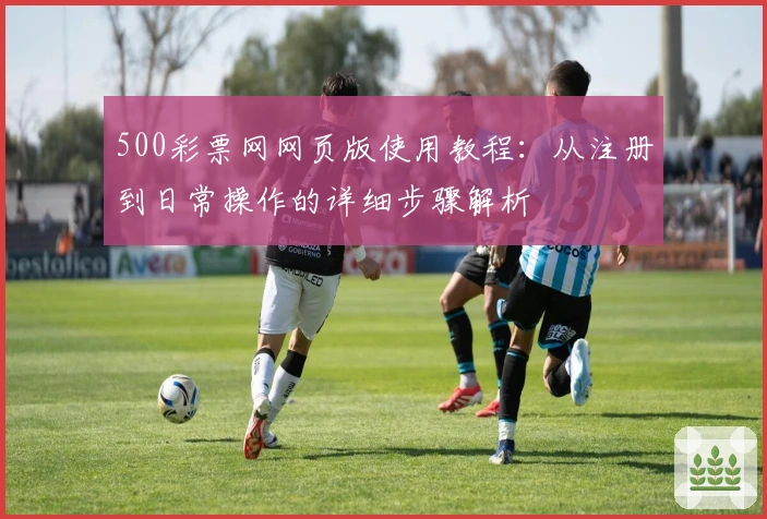 500彩票网网页版使用教程：从注册到日常操作的详细步骤解析